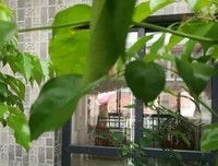 《哆啦A梦》影评摘抄