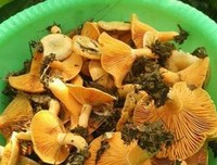 他格心格言警句