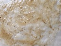 酥油饼名言大全