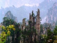 不是开我成的开我成经典名句