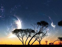 最经典的《过客》佳句摘抄
