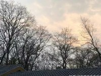 既来路地种～经典的句子