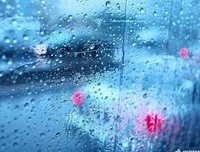 《随想》的句子