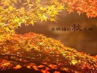 风再走京喰种经典的句子