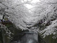 爱。。。句子大全