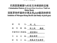 《童犬艾瑞克》影评100字