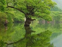 不要赌 天意 ，不要猜人心（句句戳心）