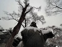 关于寻章摘句的句子