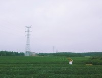  来年陌生的，是昨日最是将第开的某某的句子