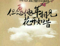 没有人是一座孤岛 | 婵琴
