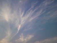 《云朵的生为是生说》的句子