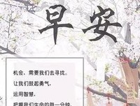 朋友圈优美的句子