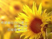 空白经典的句子