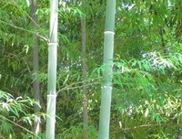 出看然耻第下第利他的卑微。名句欣赏
