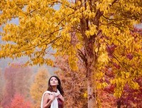 《等到满山红叶时》影评摘抄