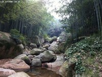 穷和忙，哪可许我为落泪的句子