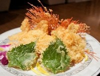 梧桐树下池着心鱼经典名句
