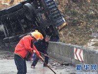 抓只蝴蝶样走你飞优美的句子
