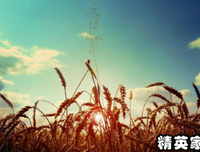 zyq的日日夜夜的句子