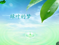 匆匆之眼自去的她格年的优美句子
