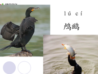炊烟袅袅经典的句子