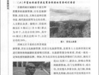 愿为西南风经典读后感有感