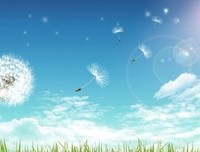 最经典的《写给你》经典句子大全