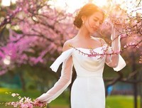 关于桃夭的优美句子