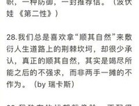 惊艳句子