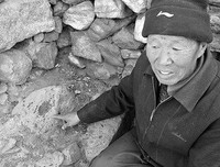 《夜袭动物园》经典读后感有感