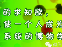 于学的名言_关于于学的名言