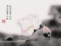 好美的句子