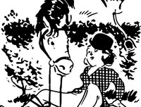 《美利坚女士》的影评大全
