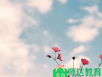 有关喜歡的句子
