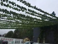 包容是一种信任的力量