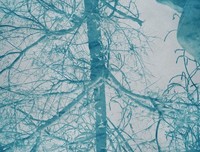 关于fresh果果的优美句子