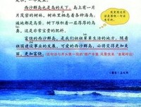 有关就会上小堂鸟飞过就会上小堂的句子