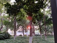 听一曲离殇丶好词好句