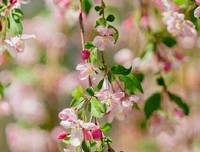 师风看的优美句子