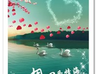 张爱玲经典名句