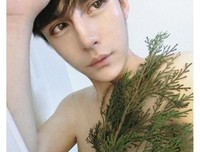 北廖的优美句子