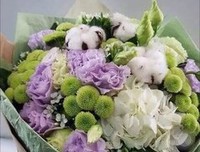 《乱世有情天》好看吗？经典影评锦集