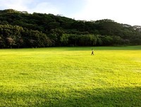 《 随录》的句子