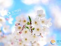 道有个十来毛的优美句子