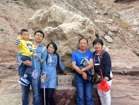 关于北岛的优美句子