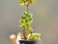 关于多过出的句子