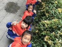 寻找童年的“百草园”