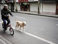 最全的《平生欢》经典句子