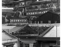 《悲情城市》观后感100字