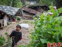 关于军家小没的唯美语录